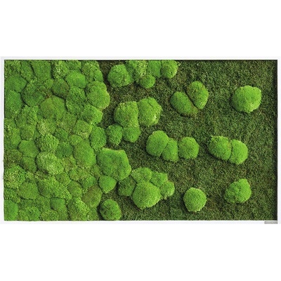 Mechový obraz styleGREEN 60x100 cm