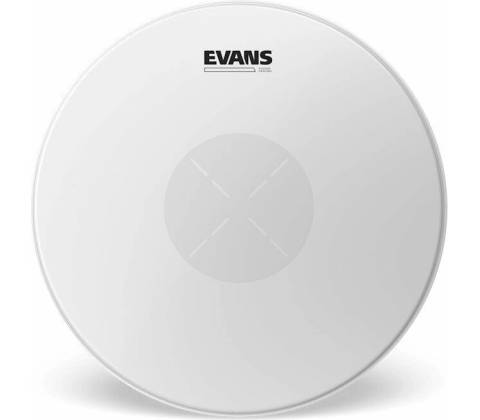 Evans B 14 G 1 D