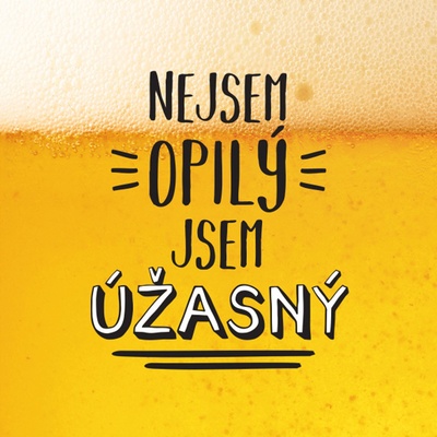 Albi Můj Bar Půllitr Nejsem opilý jsem úžasný 500 ml