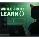 while True: learn