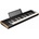 Korg Keystage 49