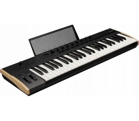 Korg Keystage 49