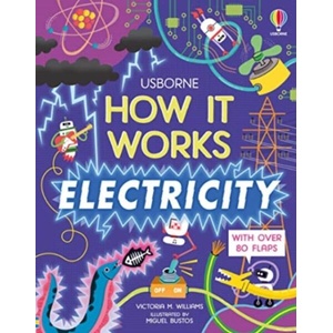 How It Works: Electricity (ISBN: 9781474998888)
