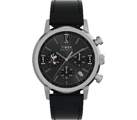 Timex TW2Y48500