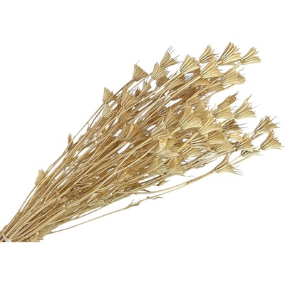 Sušené kvety Černuška - Nigella orientalis 100g - bielená, krémová