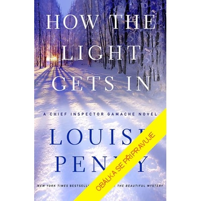 Kudy vchází světlo - Louise Penny