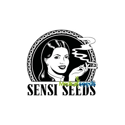 Sensi Seeds Banana Kush Cake AUTO semena neobsahují THC 3 ks – Zboží Dáma