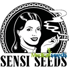 Sensi Seeds Banana Kush Cake Auto semena neobsahují THC 3 ks