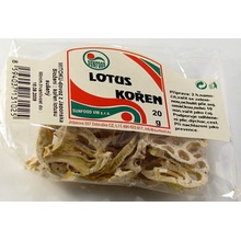 SUNFOOD LOTUS KOŘEN SUŠENÝ 20 g