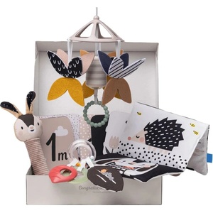 Taf Toys Игрален комплект за новородено Taf Toys - Черно бели елементи, 10 части (TT13475)
