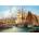 Castorland - Puzzle The Old Gdansk - 1 000 piese