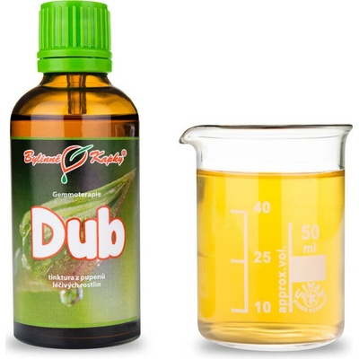 Dub púčiky gemmoterapie 50 ml