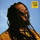 Marley,ziggy - Brightside LP