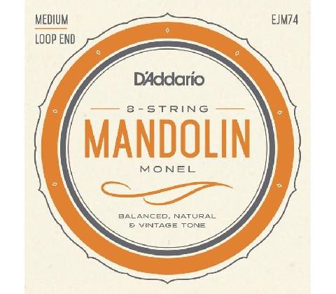 D'Addario EJM74