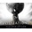 Civilization VI (Platinum)