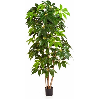 Umelý strom Šeflera gigant deluxe, 190cm
