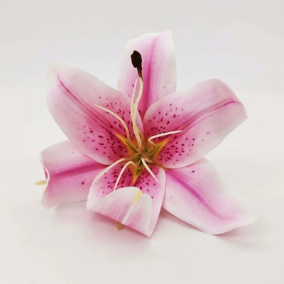 Lilie pěnová růžovofialová 16cm/12ks