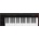 IK Multimedia iRig Keys 2 Pro