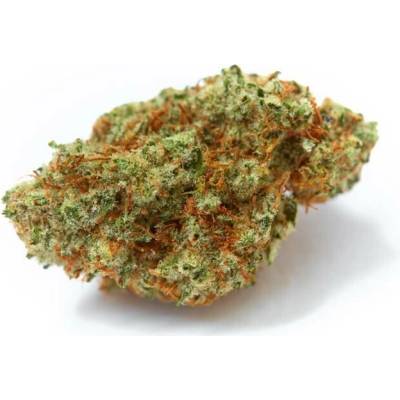 Growers Choice White Fire OG semena neobsahují THC 5 ks