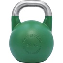 TRUESTEEL StrongGear ocel 24 kg