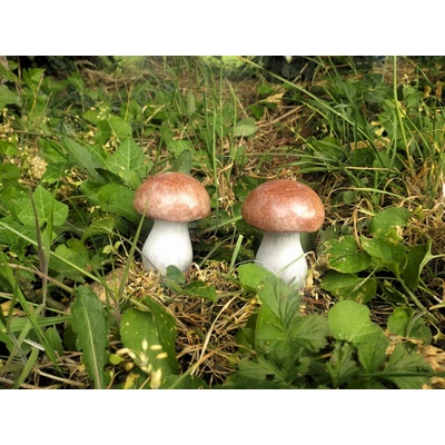 Prodex Import Hříbek do zahrady malý