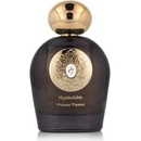 Tiziana Terenzi Hyakutake Extrait de Parfum 100 ml