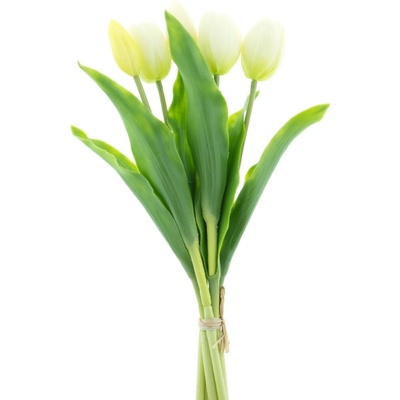 Tulipán Sally (5x) krémový V36 cm