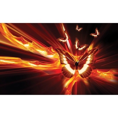 Preinterier FT5237 Fototapeta na stenu Motýľ vlies 152cm x 104cm