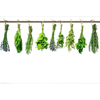 DIMEX ART Флизелинов фототапет билки 375 x 250 см