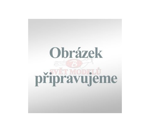 Bus Driver