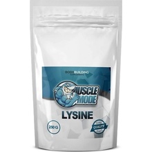 Muscle Mode Lysine 500 g