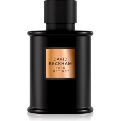 David Beckham Bold Instinct EDP 75 ml (3616304892806)
