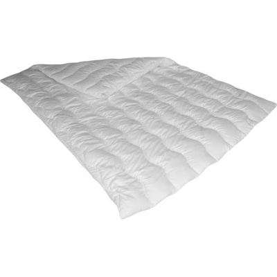 Zdravsi-spanok antialergický paplón Medic 140x200