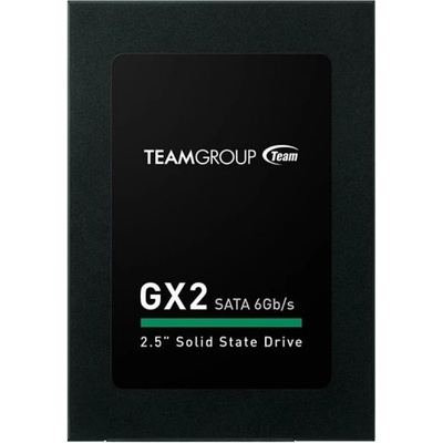 Team Group GX2 256GB, T253X2256G0C101