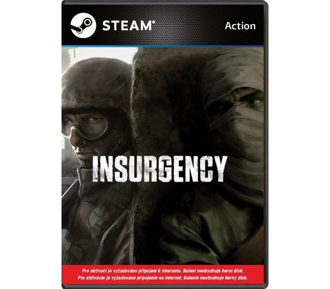 Insurgency