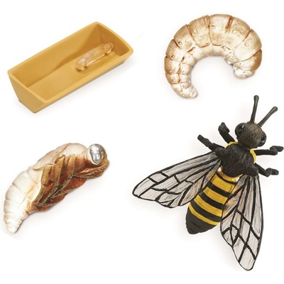 Safari Ltd Životný cyklus Včela