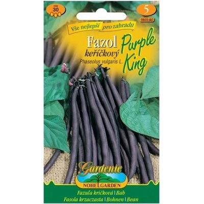 Nohel Garden Fazuľa kríčková PURPLE KING, fialová