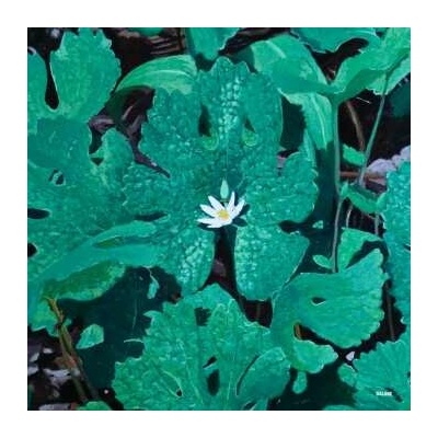 Early Fern - Wetland Interiors LTD LP