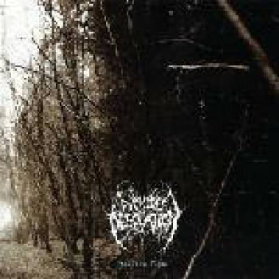 Woods Of Desolation - Toward The Depts CD
