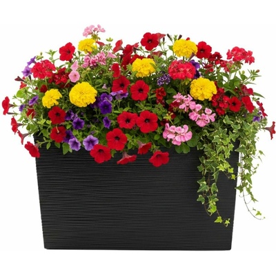HowHomely PLASTOVÝ KVETINÁČ BLOOM RIFLO 36X56X20 CM ČIERNA