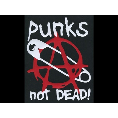 Zádovka PUNK´S NOT DEAD áčko sichr
