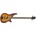 Jackson JS2 Spectra