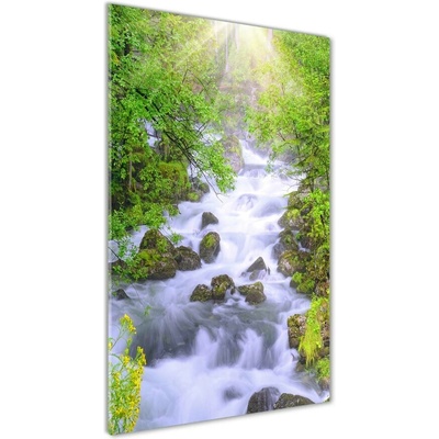 Vertikálny foto obraz fotografie na skle Horský potok 50x100 cm