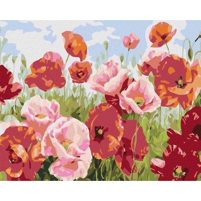 zuty Vlčí máky v mnoha odstínech 50 x 40 cm vypnuté plátno na rám 8596530008774