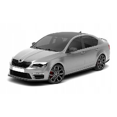 LED ŽÁROVKY DO INTERIÉRU Škoda Octavia III RS CANBUS