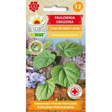 Paulownia Omszona Kyslíkové drevo (semená) 0,1 g