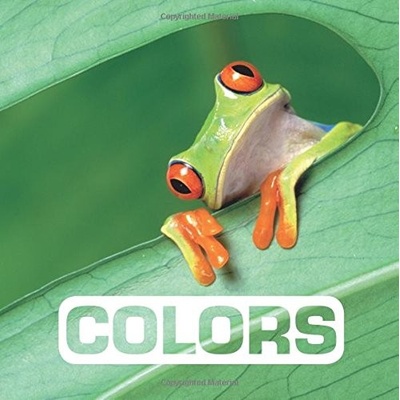 Colors - Picture This - Marie Vendittelli