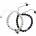 Nefertitis NF38214