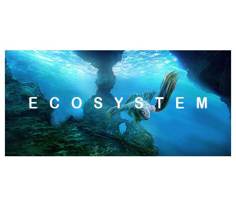 Ecosystem