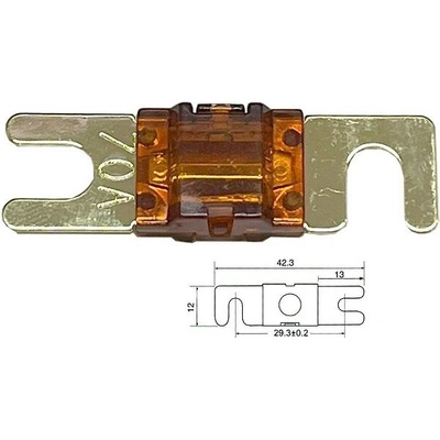 Autopoistka ANL Mini 70A